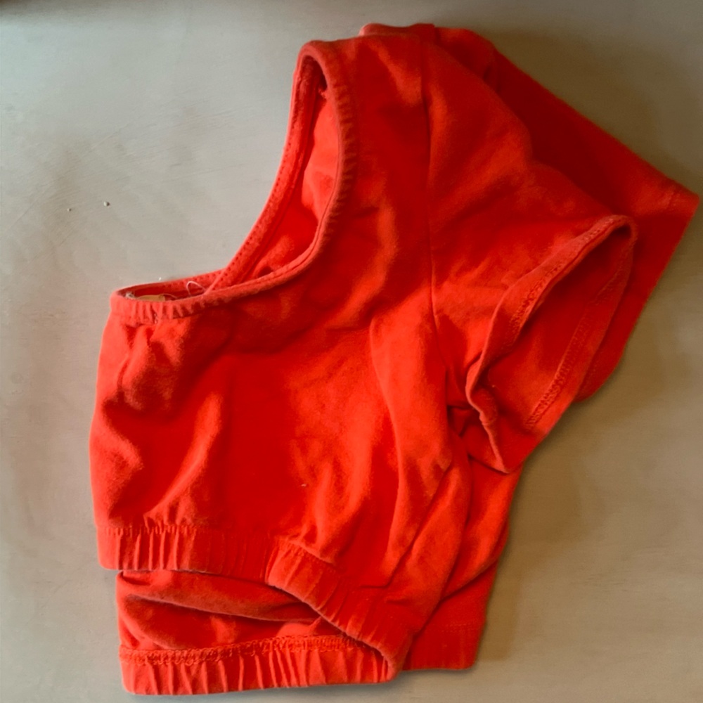Urban Outfitters Orange/Red Crop Top